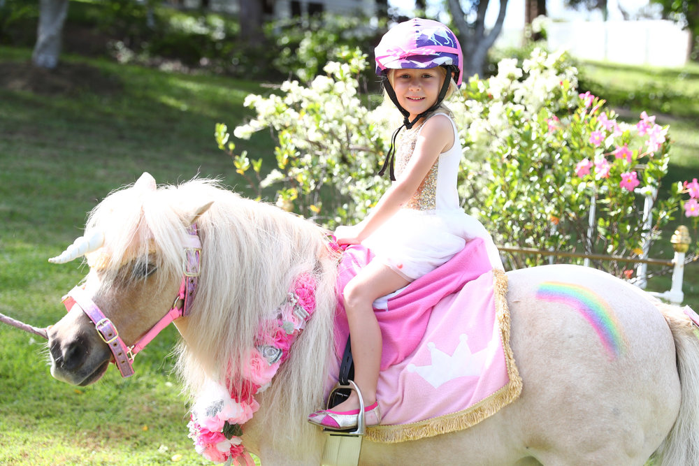 UNICORN PONY RIDES $300/hour - Make dreams come true by inviting a real-life unicorn to your celebration! This option includes one hour of hand-guided unicorn rides and photo opportunities. Prince Barney (pictured) from Pony Parties Gold Coast Tweed available on request, with cost including glitter name on unicorn, gift for birthday child, and $5 donation to local horse rescue charity, Project Ponies.